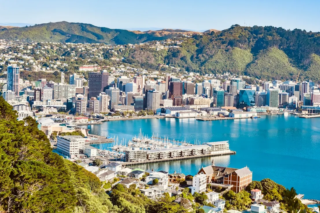 Wellington harbour and the central city from the hills above